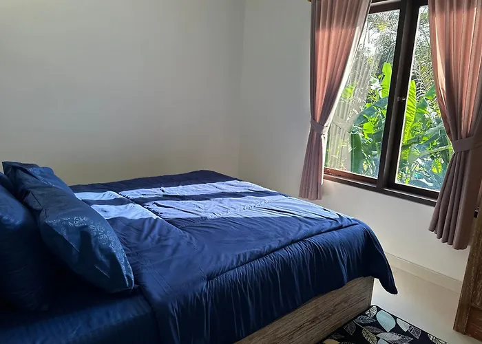 Hostal Vamana House *